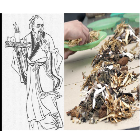 Bài thuốc dạ dày