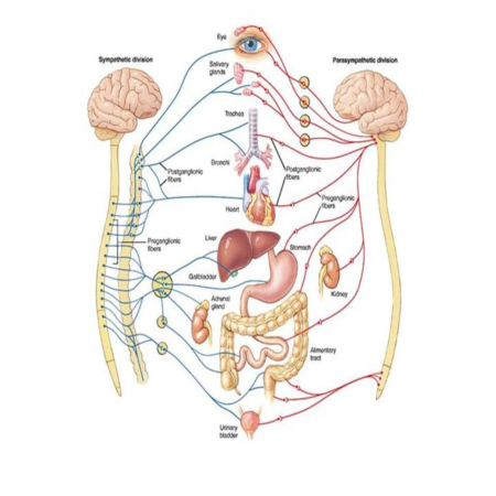 Cai nghiện ma túy