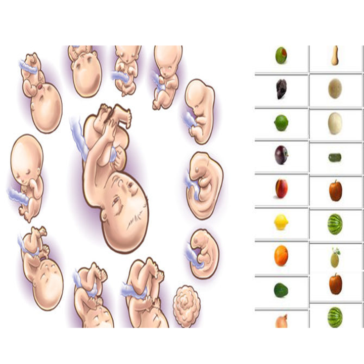 Bảng trọng lượng bình thường đối chiếu với tuổi 1 Bảng trọng lượng đối chiếu với tuổi