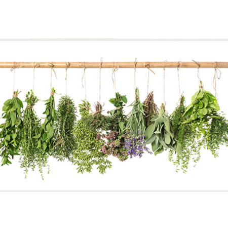 Thuốc Nam thường dùng