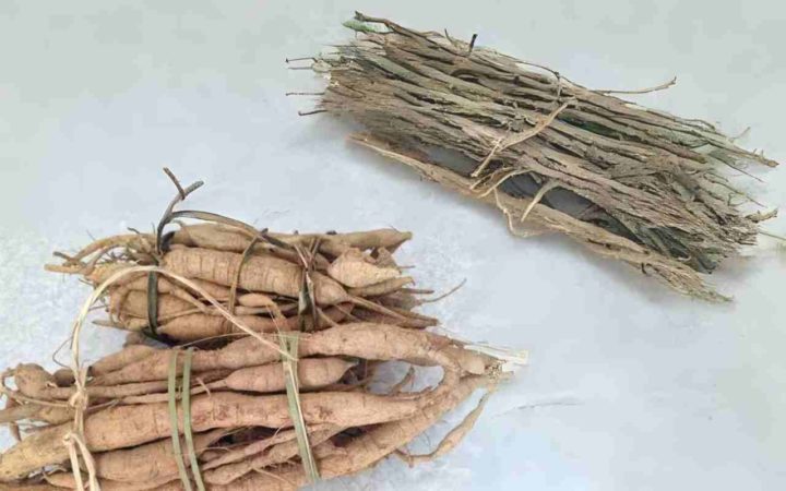 Hình ảnh củ đã thu hoạch của cây cát sâm